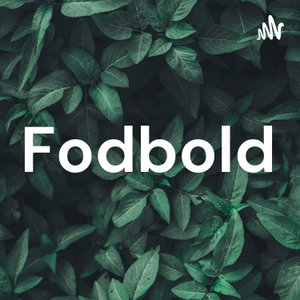 Fodbold