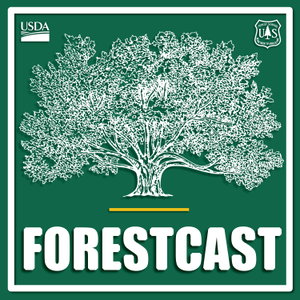 Forestcast