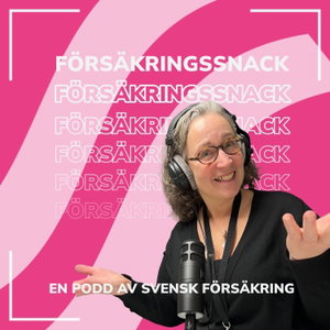 Försäkringssnack