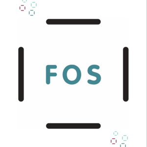 FOS-podden: Likeverdige tjenester for alle