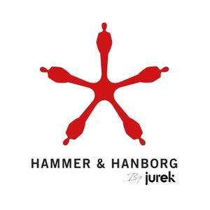 Framtidens professionella liv