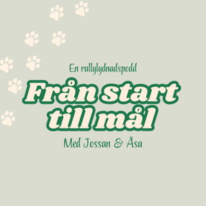 Från start till mål