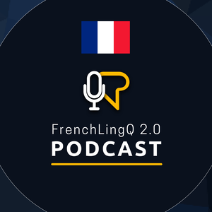 FrenchLingQ 2.0