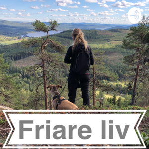 Friare liv