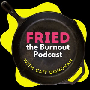 FRIED. The Burnout Podcast