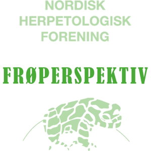 Frøperspektiv