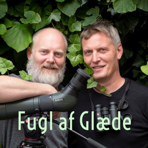 Fugl af Glæde Podcast