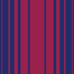 BarcaFutbol 