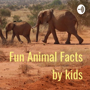Fun Animal Facts by kids