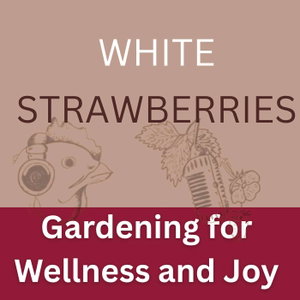 Gardening for Wellness & Joy: White Strawberries