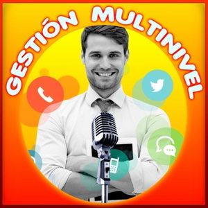 Gestión Multinivel