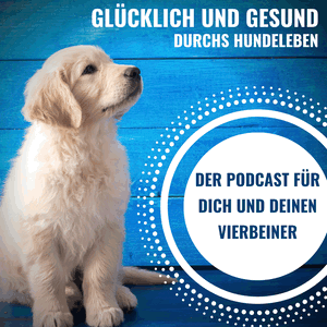 Glücklich und gesund durchs Hundeleben