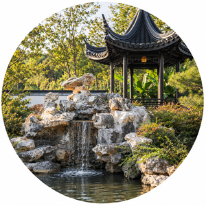 Go Wu Wei