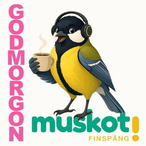 Godmorgon Finspång!