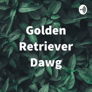 Golden Retriever Dawg