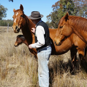 Good Horsemanship - Ross Jacobs