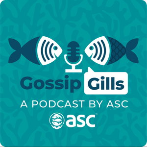 Gossip Gills