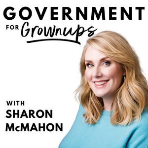 Government for Grownups