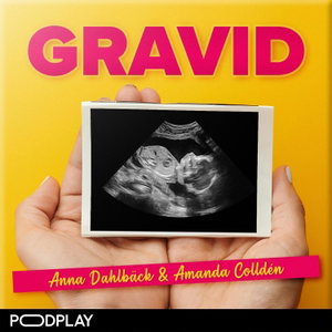 Gravid