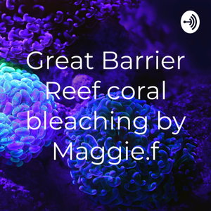 Great Barrier Reef coral bleaching by Maggie.f