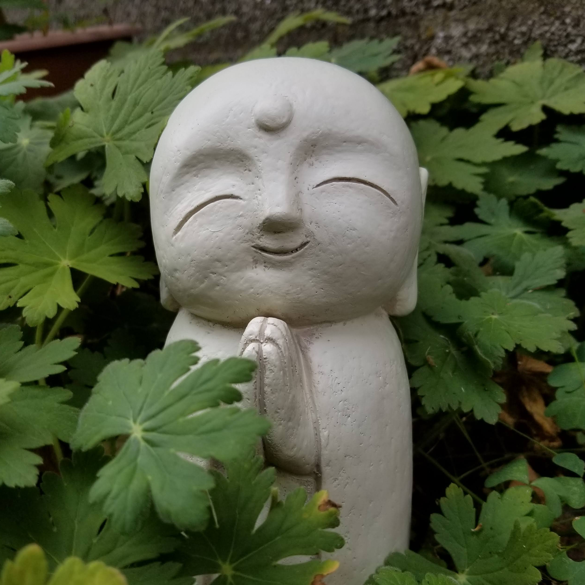 Greater Boston Zen Community Podcast | Lyssna här | Poddtoppen.se