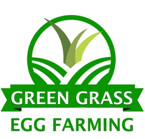 Green Grass Egg Farming