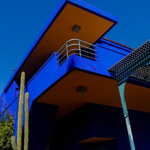 Gribbs Cribb
