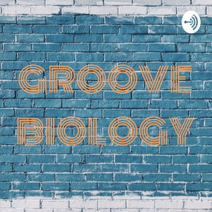 GROOVE BIOLOGY