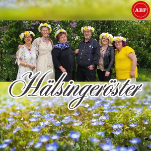 Hälsingeröster