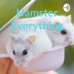 Hamster Everything