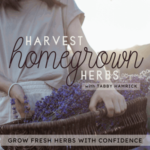 Harvest Homegrown Herbs | Beginner Gardener, Herbal Tea, Garden Planning, Seed Starting, Planting Zone