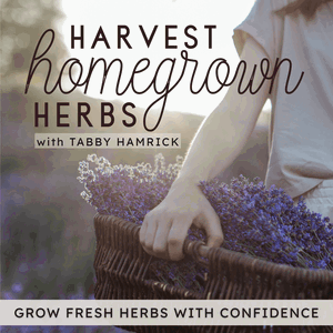 Harvest Homegrown Herbs | Herb Garden, Seed Starting, Garden Planning, Herbal Tea, Container Gardening