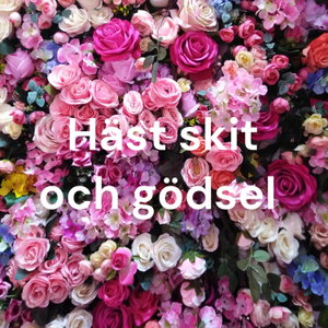 Häst skit och gödsel 