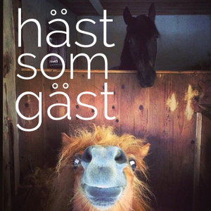 Häst som Gäst