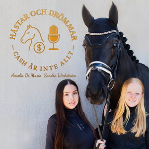 Hästar & Drömmar