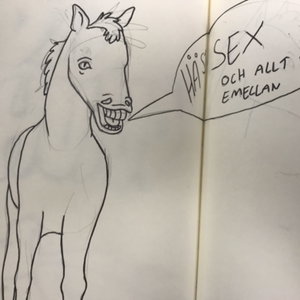 Hästsex och allt däremellan