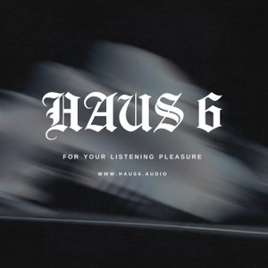 HAUS 06