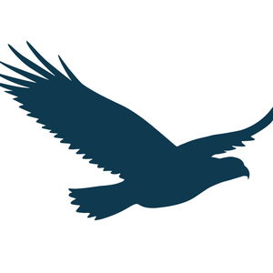 HawkTalk
