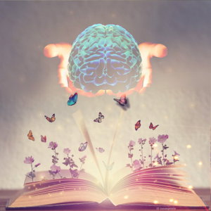 هدى القرآن