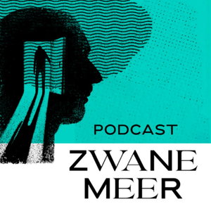 Het Zwanemeer