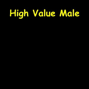 High Value Male | Mindset for Men