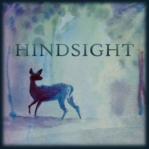 Hindsight