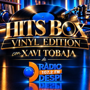 HITS BOX VINYL EDITION - TOPDISCO RADIO