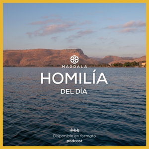 Homilía del día | Ciclo A: 2025 – 2026
