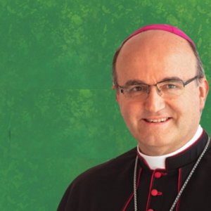 HOMILÍAS de Mons. Munilla