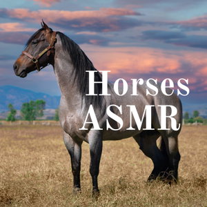 Horses ASMR 