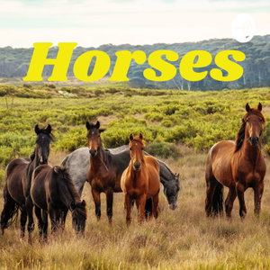 Horses 