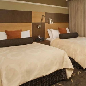 hotel industry history and its future