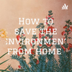 How to save the environment from home 