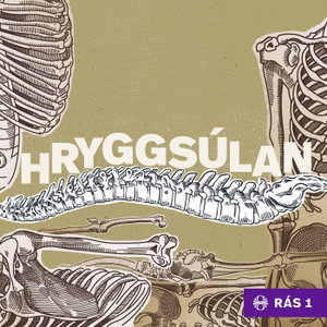 Hryggsúlan
